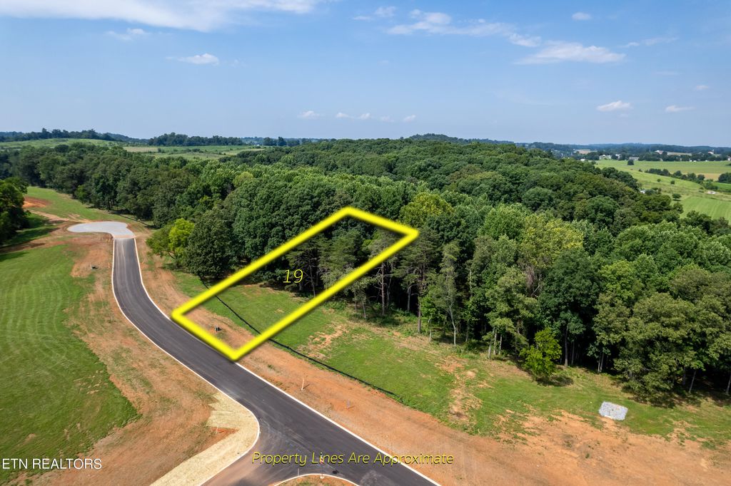 Photo of 191008 Sophie Drive, Greenback, TN 37742 (MLS # 1239363)