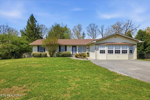 Photo of 1121 Smokyview Drive, Sevierville, TN 37862 (MLS # 1335887)