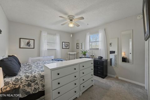 Tiny photo for 728 Schneider Lane, Sevierville, TN 37862 (MLS # 1334845)