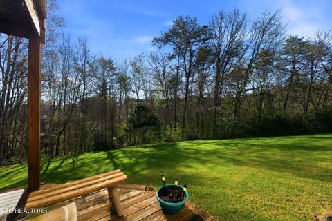 Tiny photo for 728 Schneider Lane, Sevierville, TN 37862 (MLS # 1334845)