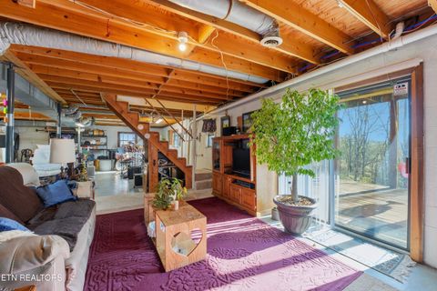 Tiny photo for 728 Schneider Lane, Sevierville, TN 37862 (MLS # 1334845)