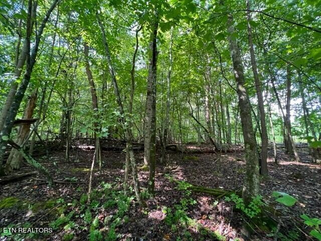 Lot 20 Hazelwood Court