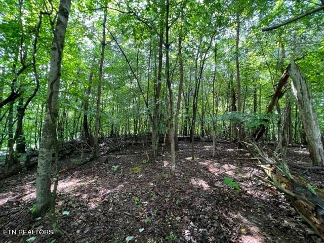 Lot 20 Hazelwood Court