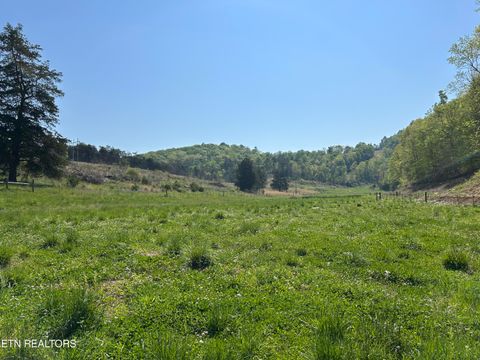 Photo of TBD Trent Valley Rd, Sneedville, TN 37869 (MLS # 1338445)