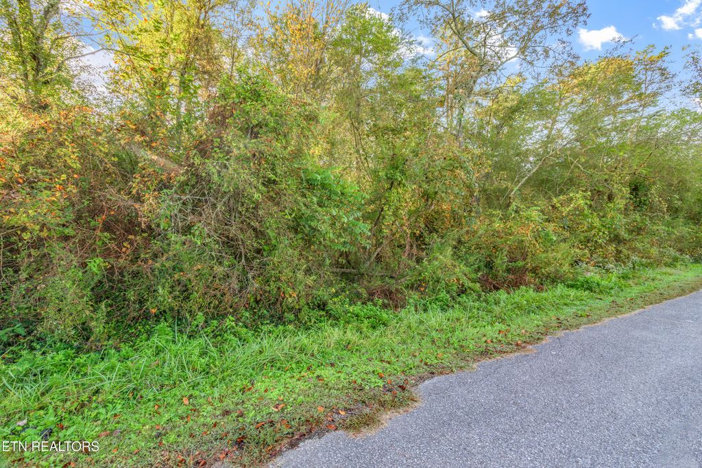Photo of - Stevens Circle, Rockwood, TN 37854 (MLS # 1322729)