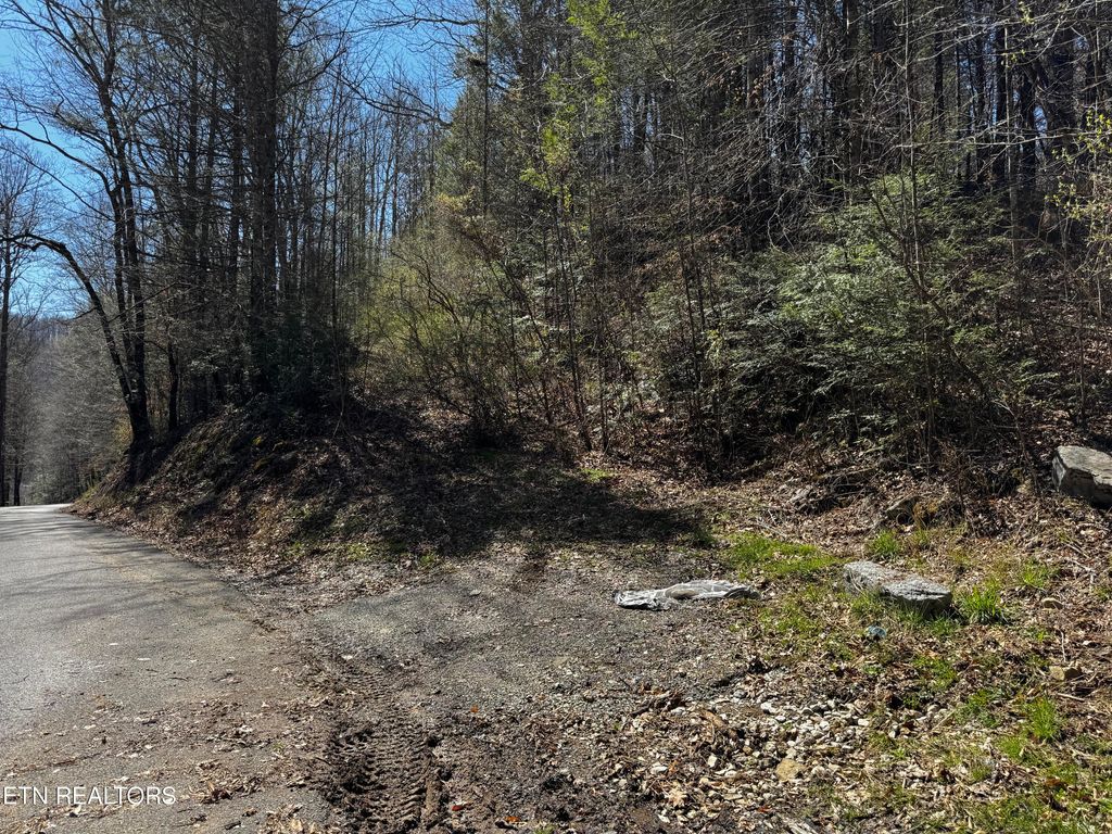 Photo of Melvin Hollow Rd, Pioneer, TN 37847 (MLS # 1305410)