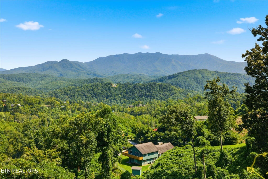 Photo of 812 Beanstalk Court, Gatlinburg, TN 37738 (MLS # 1352510)