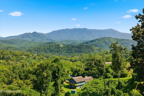 Photo of 812 Beanstalk Court, Gatlinburg, TN 37738 (MLS # 1352510)