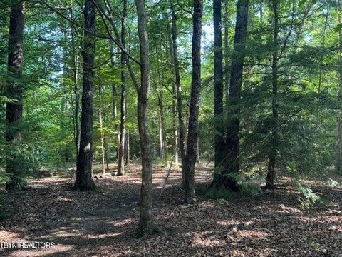 Tiny photo for 366 Swallows Crossing, Grimsley, TN 38565 (MLS # 1359662)