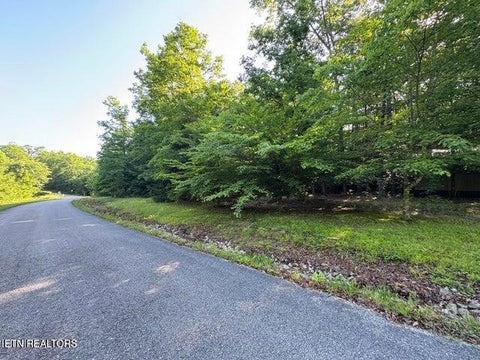 Tiny photo for 366 Swallows Crossing, Grimsley, TN 38565 (MLS # 1359662)