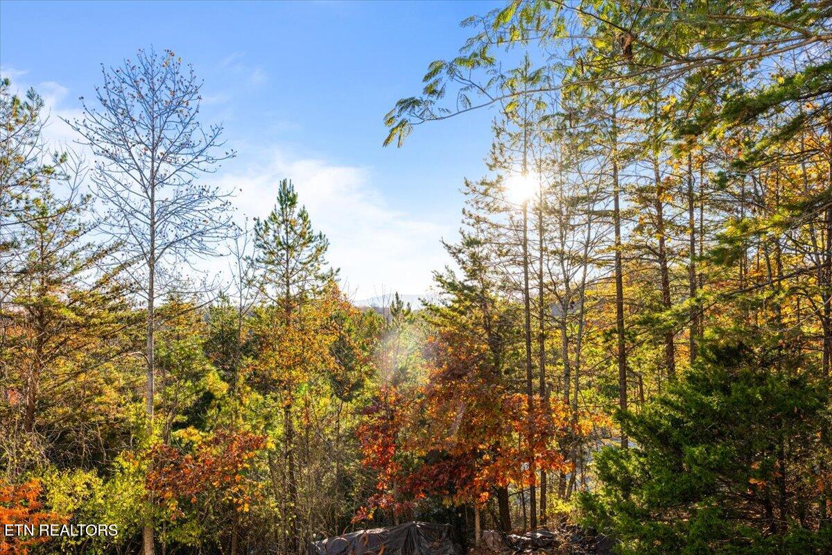 221 Stoney Rock Lane