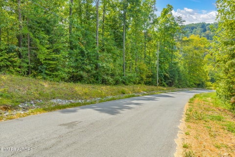 Tiny photo for 148 Hickory Point, Maynardville, TN 37807 (MLS # 1356095)