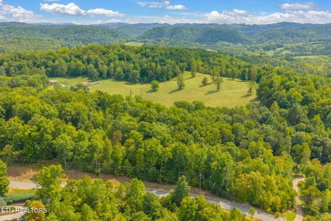 Tiny photo for 148 Hickory Point, Maynardville, TN 37807 (MLS # 1356095)