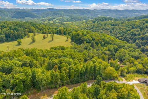 Tiny photo for 148 Hickory Point, Maynardville, TN 37807 (MLS # 1356095)