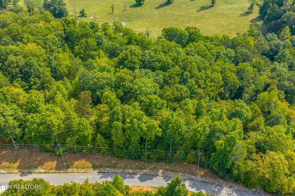 Photo of 148 Hickory Point, Maynardville, TN 37807 (MLS # 1356095)