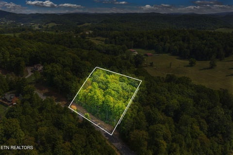 Tiny photo for 148 Hickory Point, Maynardville, TN 37807 (MLS # 1356095)