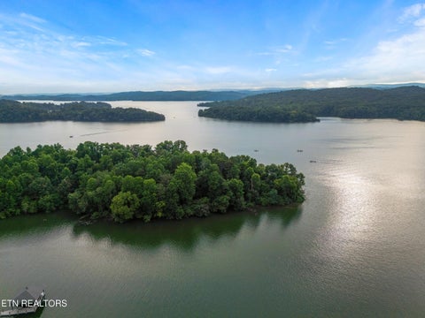 Tiny photo for 101 Grand Harbor Point PT, Rockwood, TN 37854 (MLS # 1349685)