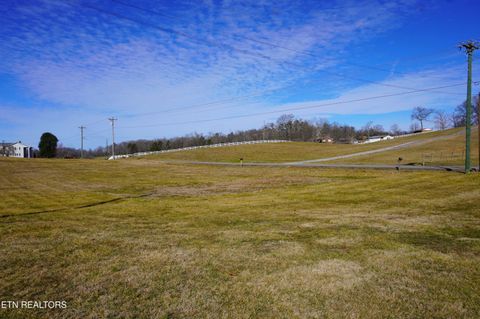 Tiny photo for 1205 Old Dandridge Pike, New Market, TN 37820 (MLS # 1329373)