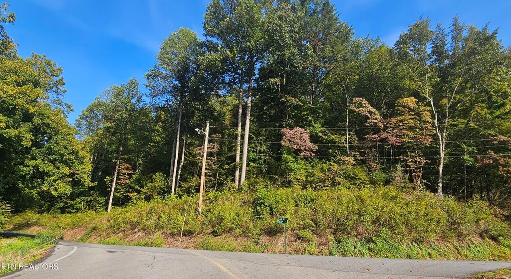 Photo of 438 N Shiloh Rd, Seymour, TN 37865 (MLS # 1315655)