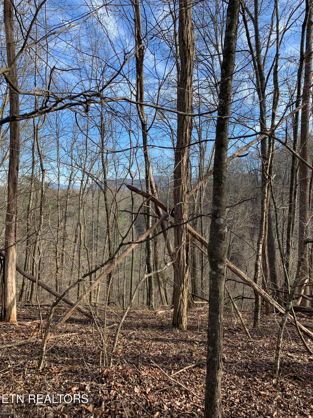 Photo of 438 N Shiloh Rd, Seymour, TN 37865 (MLS # 1315655)