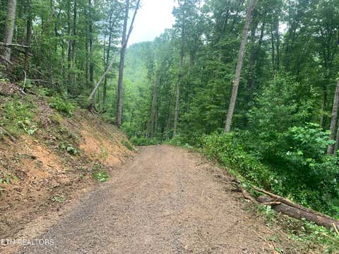 Tiny photo for 0 Happy Hollow Rd #0, Sevierville, TN 37862 (MLS # 1350154)