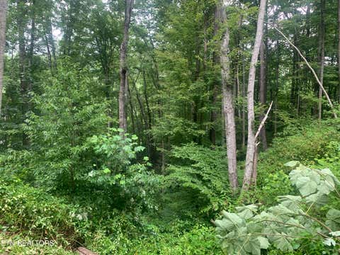 Tiny photo for 0 Happy Hollow Rd #0, Sevierville, TN 37862 (MLS # 1350154)