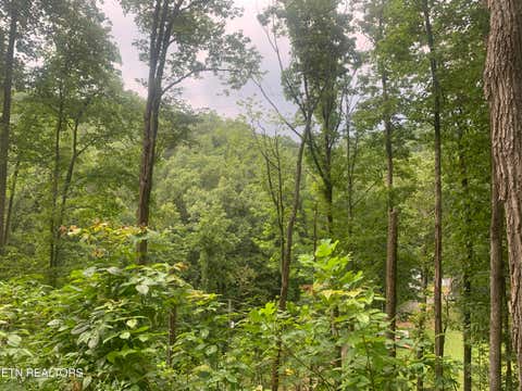 Tiny photo for 0 Happy Hollow Rd #0, Sevierville, TN 37862 (MLS # 1350154)