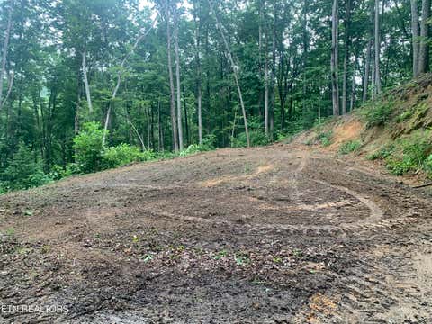Tiny photo for 0 Happy Hollow Rd #0, Sevierville, TN 37862 (MLS # 1350154)