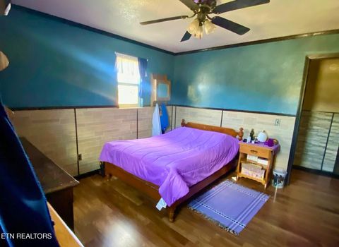 Tiny photo for 141 Central Ave, Lancing, TN 37770 (MLS # 1317614)