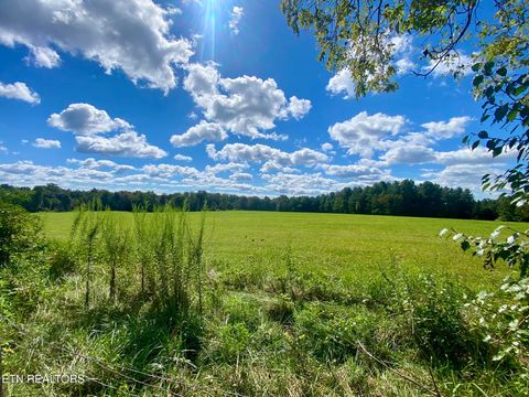 Tiny photo for 141 Central Ave, Lancing, TN 37770 (MLS # 1317614)