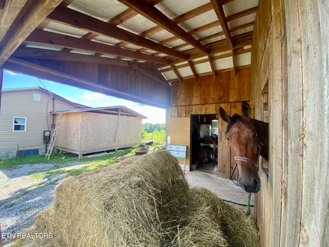Tiny photo for 141 Central Ave, Lancing, TN 37770 (MLS # 1317614)