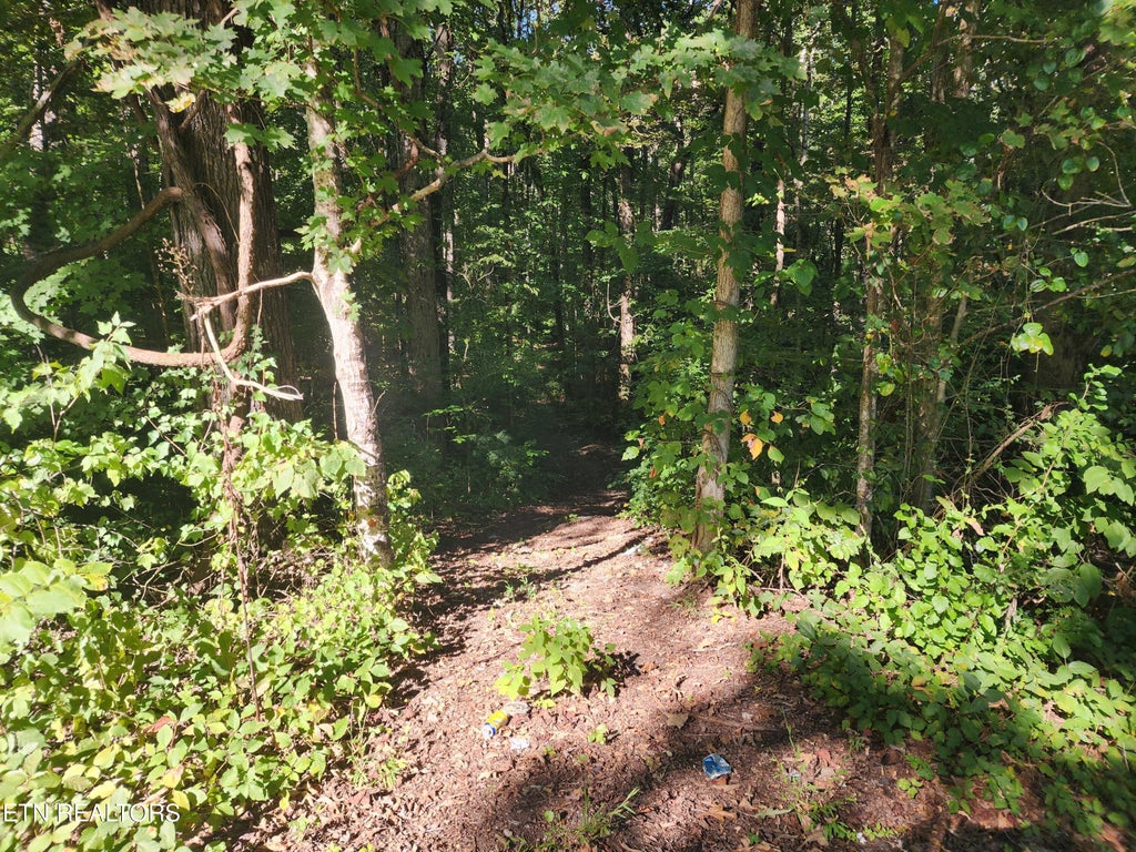 Photo of Cove Lane, Oliver Springs, TN 37840 (MLS # 1357229)
