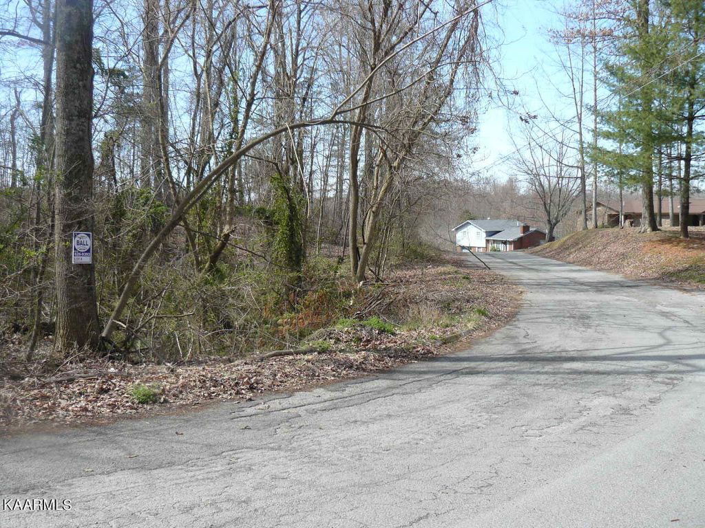 Photo of 47 Norris Drive, Tazewell, TN 37879 (MLS # 1230364)