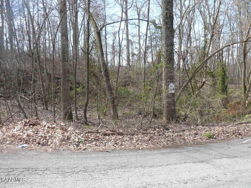 Photo of 47 Norris Drive, Tazewell, TN 37879 (MLS # 1230364)