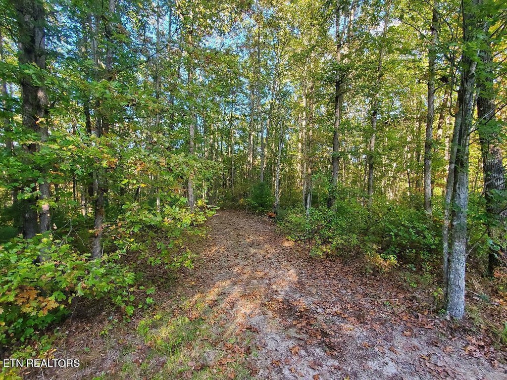 Photo of 2036 Helenwood Detour Rd, Helenwood, TN 37755 (MLS # 1349836)