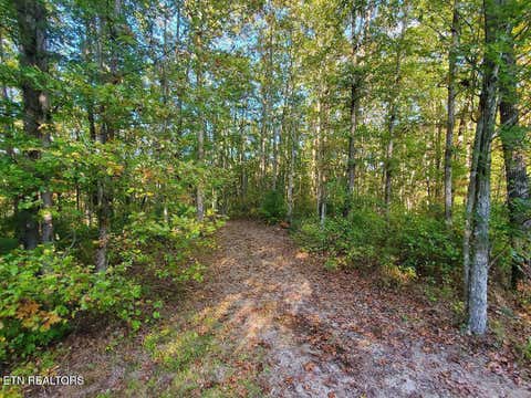 Tiny photo for 2036 Helenwood Detour Rd, Helenwood, TN 37755 (MLS # 1349836)