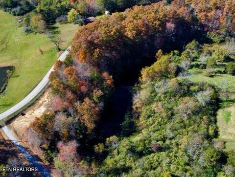 Photo of 2036 Helenwood Detour Rd, Helenwood, TN 37755 (MLS # 1349836)