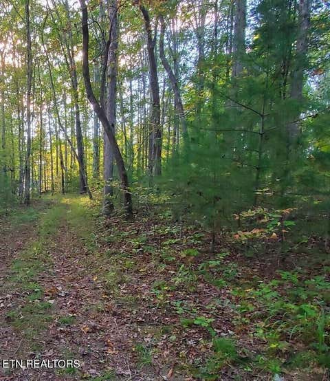 Tiny photo for 2036 Helenwood Detour Rd, Helenwood, TN 37755 (MLS # 1349836)