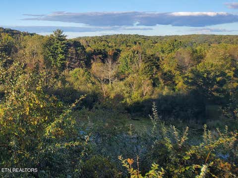 Tiny photo for 2036 Helenwood Detour Rd, Helenwood, TN 37755 (MLS # 1349836)