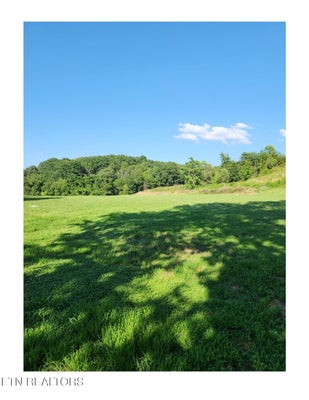 215 RED ROW RD, JOHNSON CITY, TN 37601 - Image 73229532c170bfa829d56bb1ff2a5c4c/3023080406