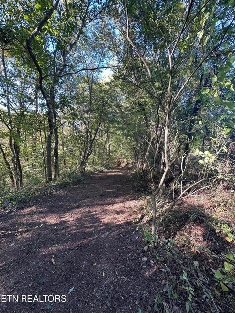 Tiny photo for 4228 Sweetwater Vonore Rd, Sweetwater, TN 37874 (MLS # 1360128)