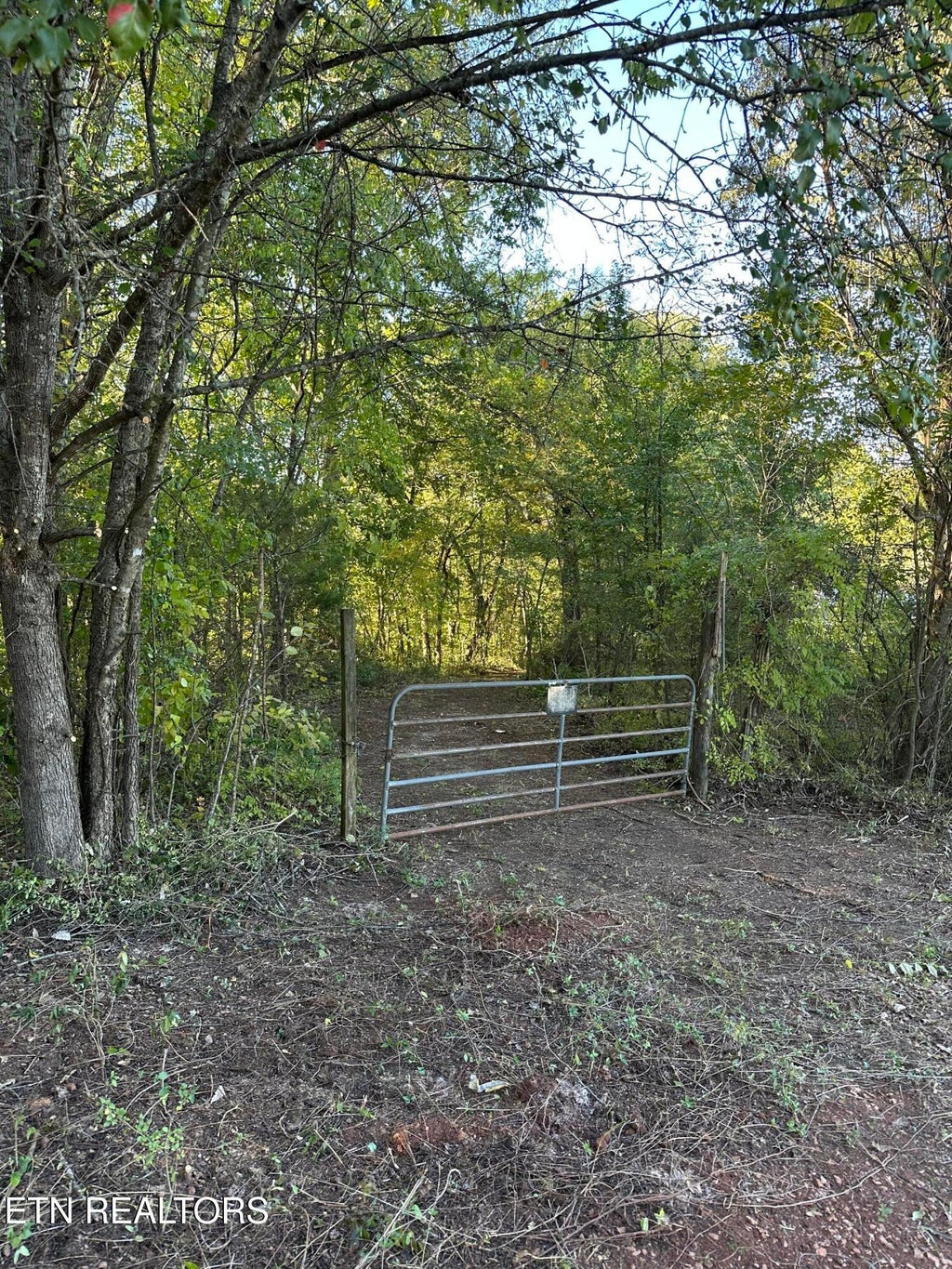 Photo of 4228 Sweetwater Vonore Rd, Sweetwater, TN 37874 (MLS # 1360128)