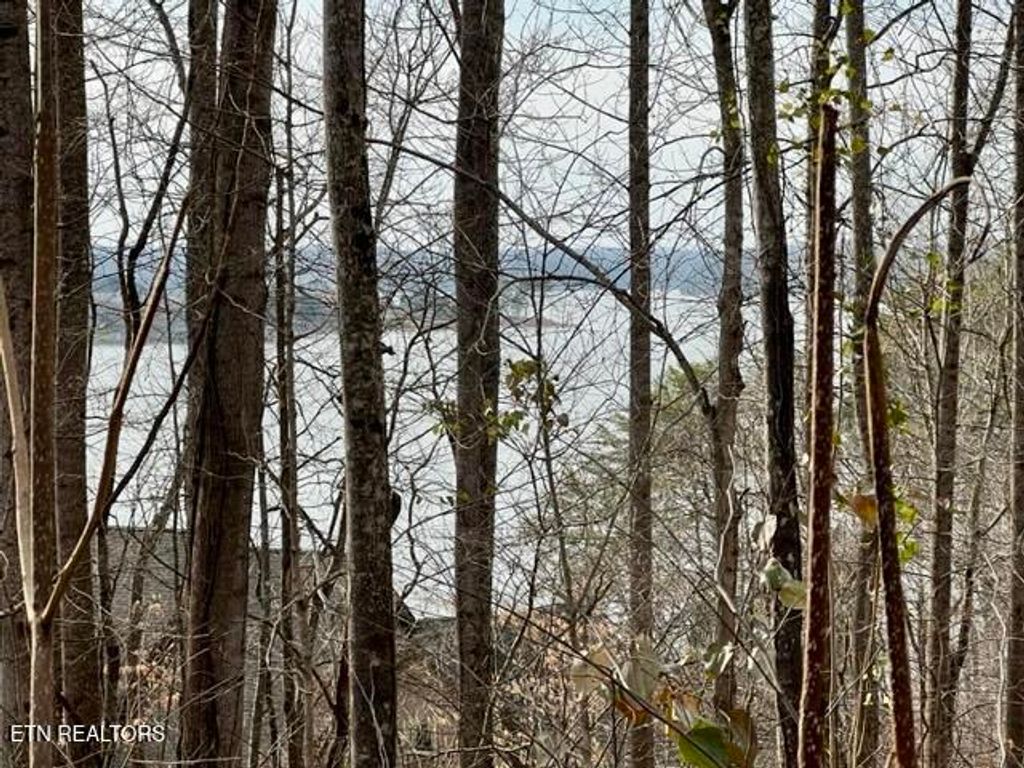 Photo of 196 E Cove Drive, Greenback, TN 37742 (MLS # 1330095)