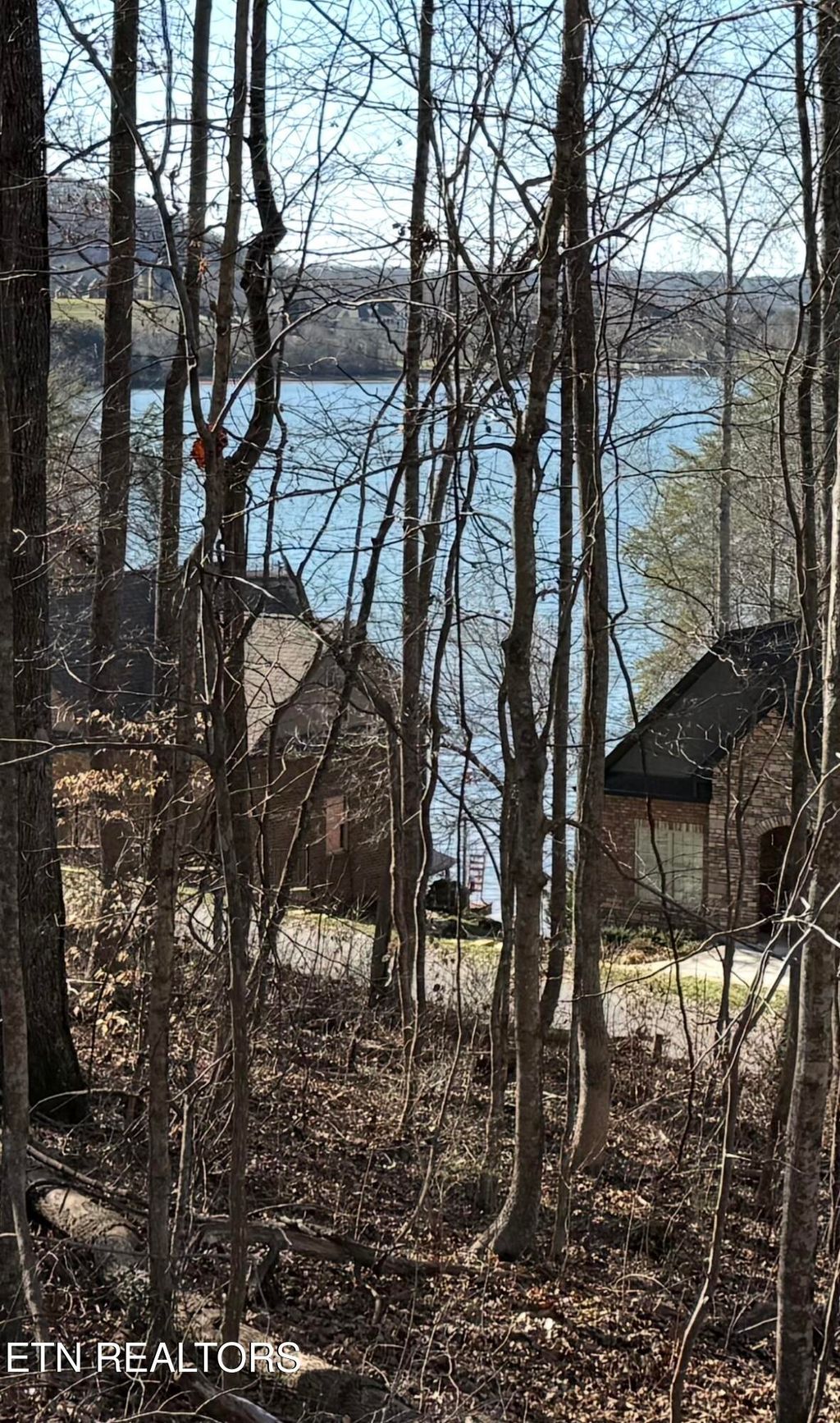 Photo of 196 E Cove Drive, Greenback, TN 37742 (MLS # 1330095)