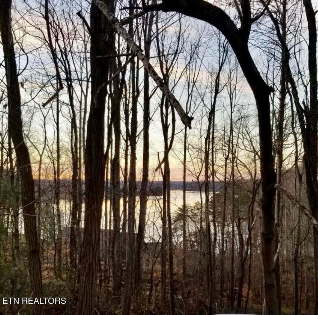 Photo of 196 E Cove Drive, Greenback, TN 37742 (MLS # 1330095)