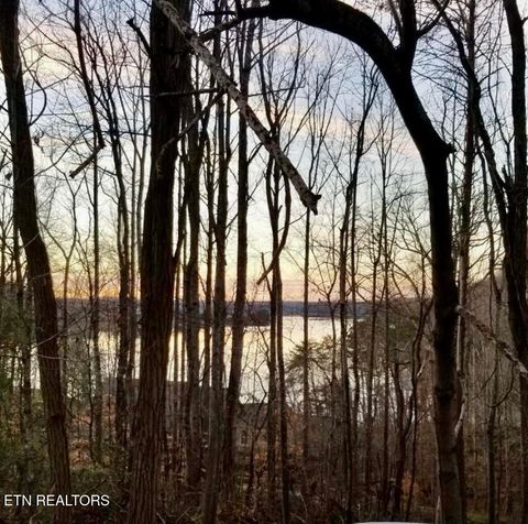 Photo of 196 E Cove Drive, Greenback, TN 37742 (MLS # 1330095)