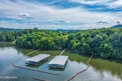 Tiny photo for 60 E Chelaque Way, Mooresburg, TN 37811 (MLS # 1337530)
