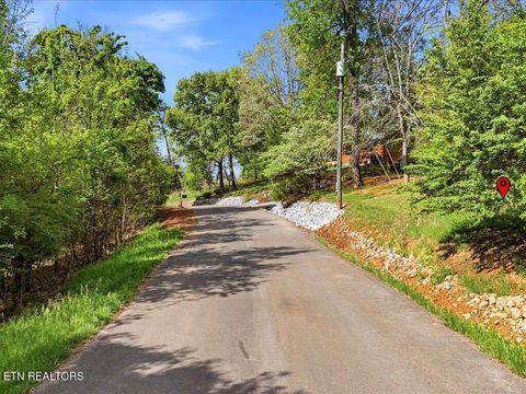 Tiny photo for 60 E Chelaque Way, Mooresburg, TN 37811 (MLS # 1337530)