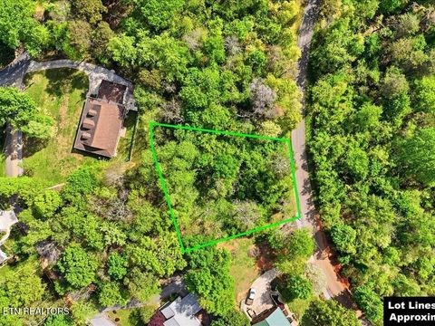 Tiny photo for 60 E Chelaque Way, Mooresburg, TN 37811 (MLS # 1337530)
