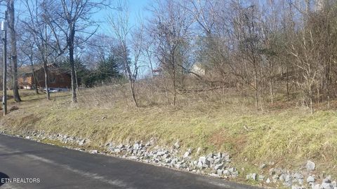Tiny photo for 60 E Chelaque Way, Mooresburg, TN 37811 (MLS # 1337530)